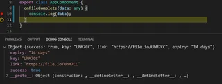 Se envia a un console.log el resultado del envio del archivo